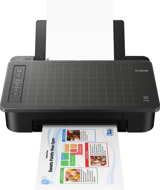 Canon PIXMA TS307 Single Function WiFi Color Printer
