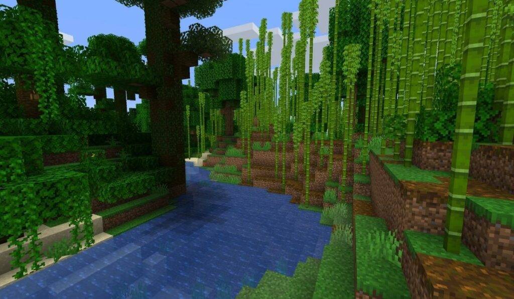 Swamp and Bamboo biome